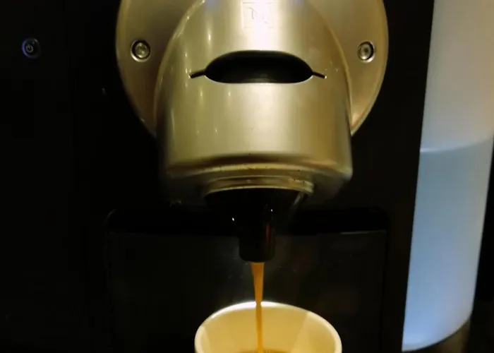 Szálloda Palafox 5*